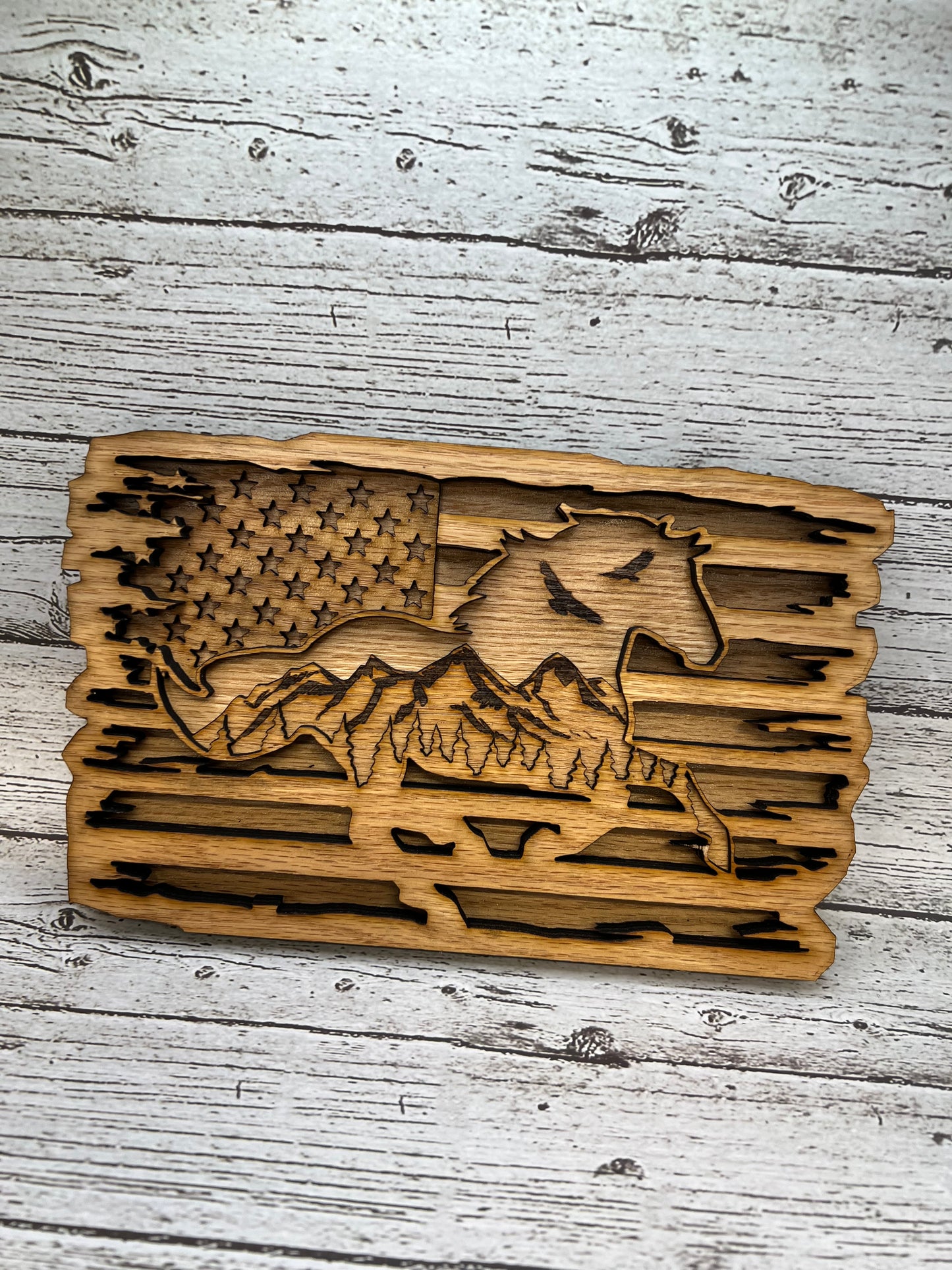 Horse With American Flag